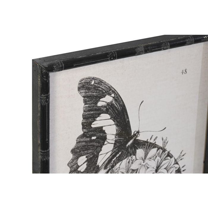 DKD Home Decor Cuadro de Pared Decoración Cottage Mariposas Negro, 60x40x2,8 cm - Set de 4 Unidades, Surtido Aleatorio con Marco de Abeto y Cristal 1
