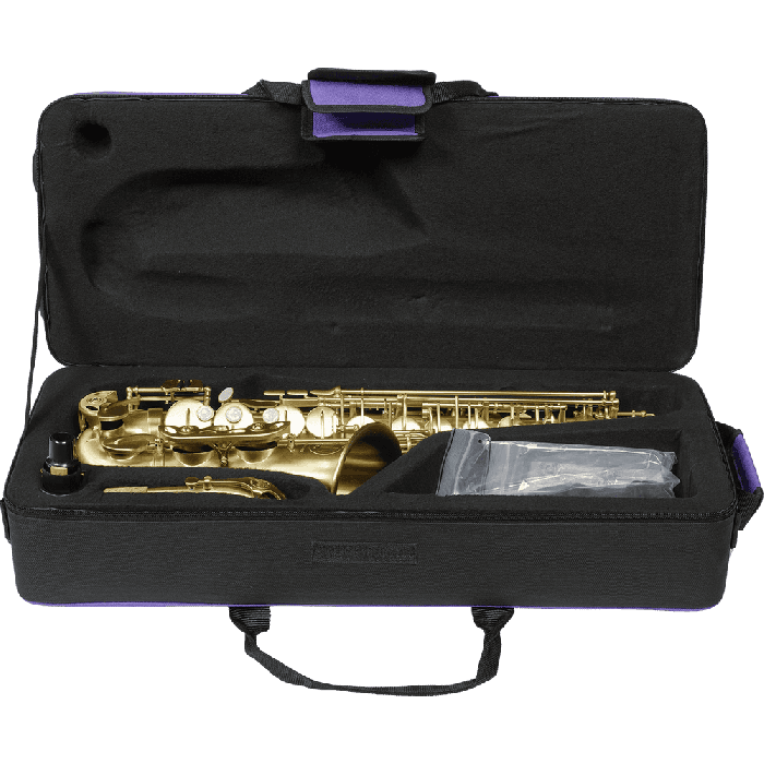 Saxofón Alto A420-Ii - Mate Cepillado 1 Saxofón Alto A420-Ii - Mate Cepillado 1