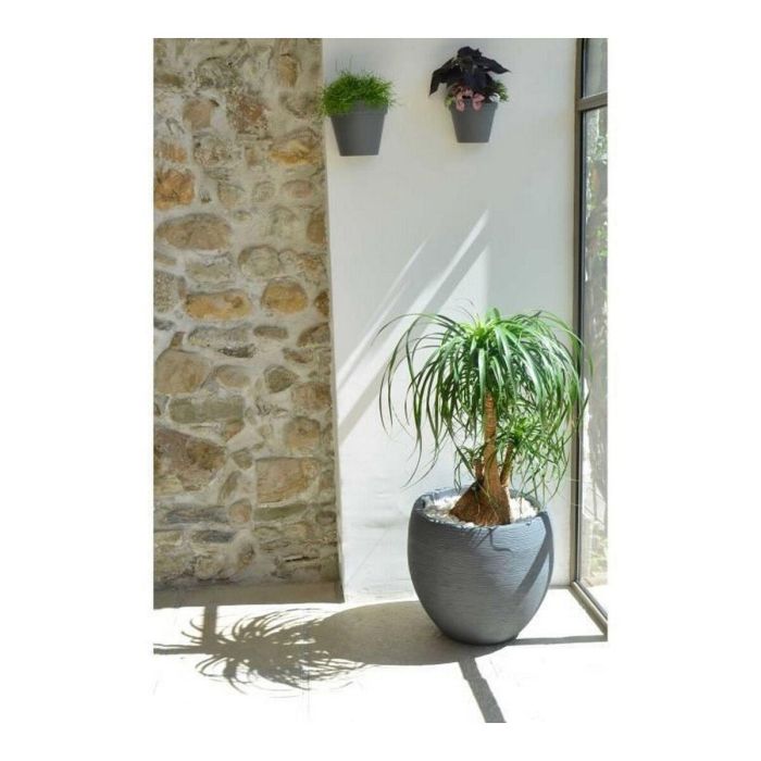Eda Maceta Redonda Graphit Huevo de Plástico, Ø50cm de Diámetro, 45cm de Altura, 46 Litros de Capacidad, Color Gris Antracita 1