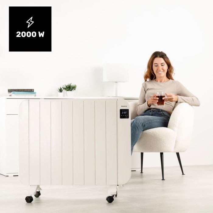 Accesorios Taurus TT2002 2