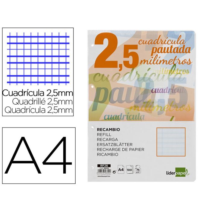 Recambio Liderpapel A4 Pautaguia 100 Hojas 75 gr-M2 Cuadriculado Pautado 2,5 mm Con Margen 4 Taladros