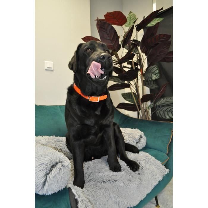 Aime Collar de caza YAGO para perros grandes, PVC Ultra Resistente Hilos Nylon, Naranja Flúor, 63-67cm 3