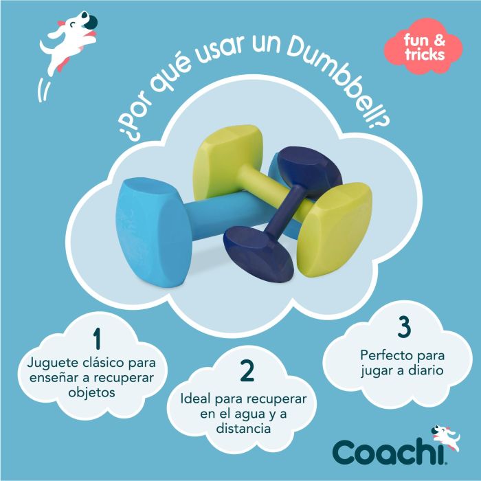 Coachi Mancuerna de Adiestramiento Mediana Lima Flotante y Resistente, Juguete Clásico para Recuperación de Objetos y Entrenamiento de Perros y Cachorros 3 Coachi Mancuerna de Adiestramiento Mediana Lima Flotante y Resistente, Juguete Clásico para Recuperación de Objetos y Entrenamiento de Perros y Cachorros 3