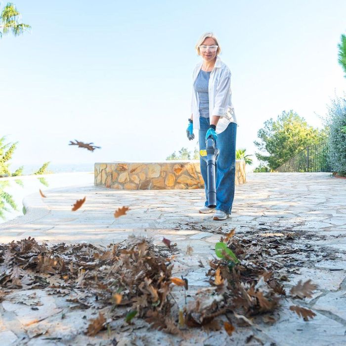 Cecotec Soplador a batería AirForce 2500 Agile 21V ultraligero velocidad regulable 241km/h 7