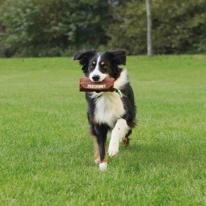 Juguete para perros Trixie 1 Juguete para perros Trixie 1