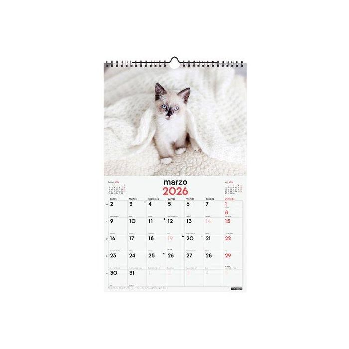 Calendario (2026) Finocam Pared Espiral Imagenes Mensual Para Escribir 250X400 Gatitos