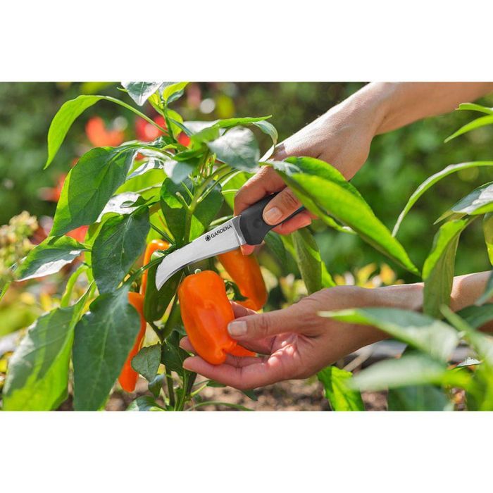 Gardena 12211-20 Cuchillo Veggiecut para Cosechar, Limpiar y Pelar Verduras, Acero Inoxidable 4