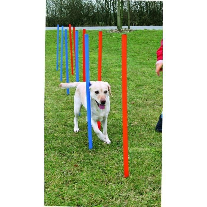 TRIXIE Estacas de Slalom para Pista de Agility 115 cm 12uds Plástico 1 TRIXIE Estacas de Slalom para Pista de Agility 115 cm 12uds Plástico 1