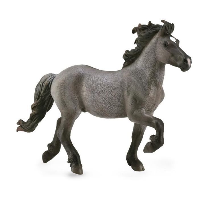 Collecta 88826 Figura de Juguete Caballo Semental Islandés Azul Pardo XL con Paso Natural Tolt, Edad Recomendada +3 años 2 Collecta 88826 Figura de Juguete Caballo Semental Islandés Azul Pardo XL con Paso Natural Tolt, Edad Recomendada +3 años 2
