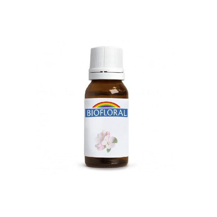 Flor De Bach 15 - Hornbeam 9 G Bio Flor De Bach 15 - Hornbeam 9 G Bio