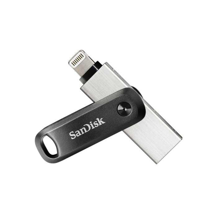 SanDisk SDIX60N-256G-GN6NE unidad flash USB 256 GB 3.2 Gen 1 (3.1 Gen 1) Gris, Plata