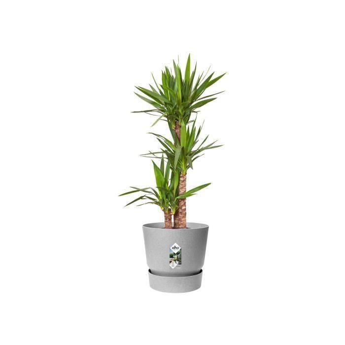 Maceta redonda ELHO Greenville 30 - Exterior - Ø 29.5 x H 27.8 cm - Hormigón vivo gris 2 Maceta redonda ELHO Greenville 30 - Exterior - Ø 29.5 x H 27.8 cm - Hormigón vivo gris 2