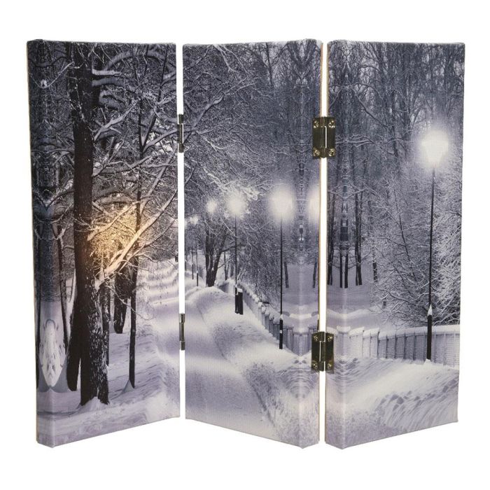 Cuadro Plegable con LEDs 2,8x48x38cm 8 LEDs Interior Luz Cálida 9xAA 1