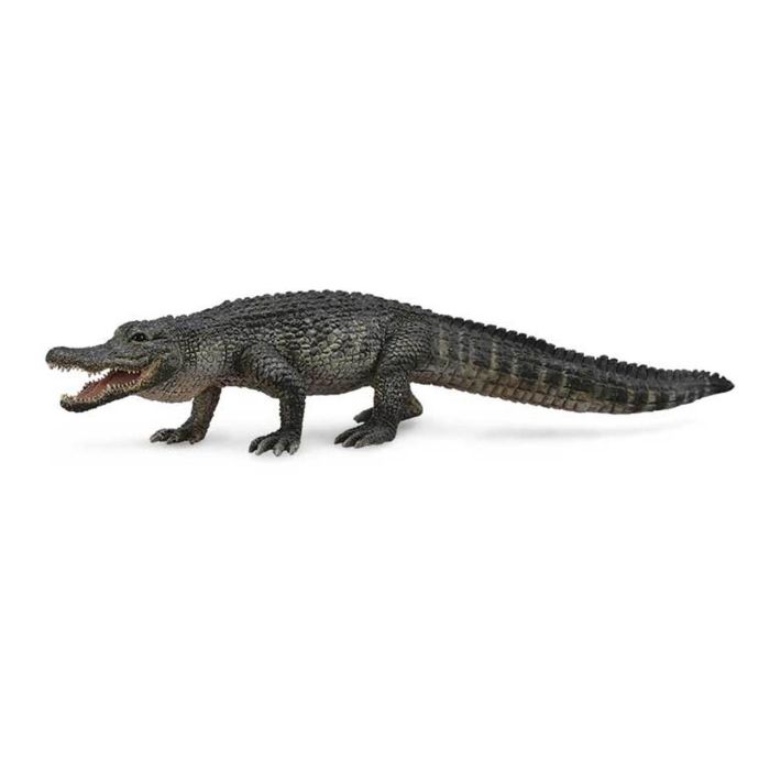 Caiman Americano -L- 88609 Collecta Caiman Americano -L- 88609 Collecta