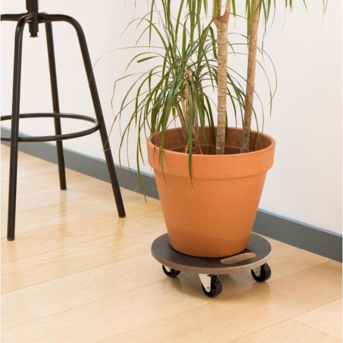 Bricotech Base Redonda Madera con Ruedas 38 x 11 cm 7