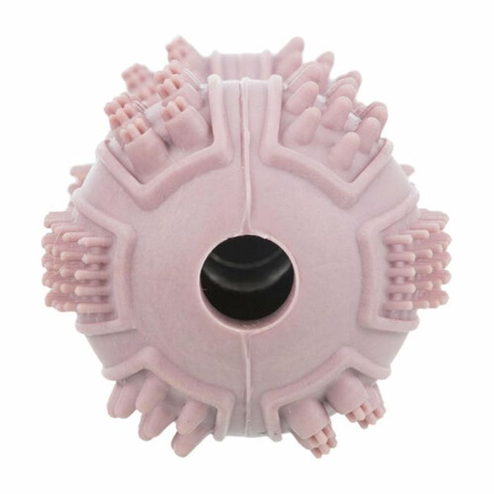 Mordedor de perro Trixie 9 cm 1 Mordedor de perro Trixie 9 cm 1