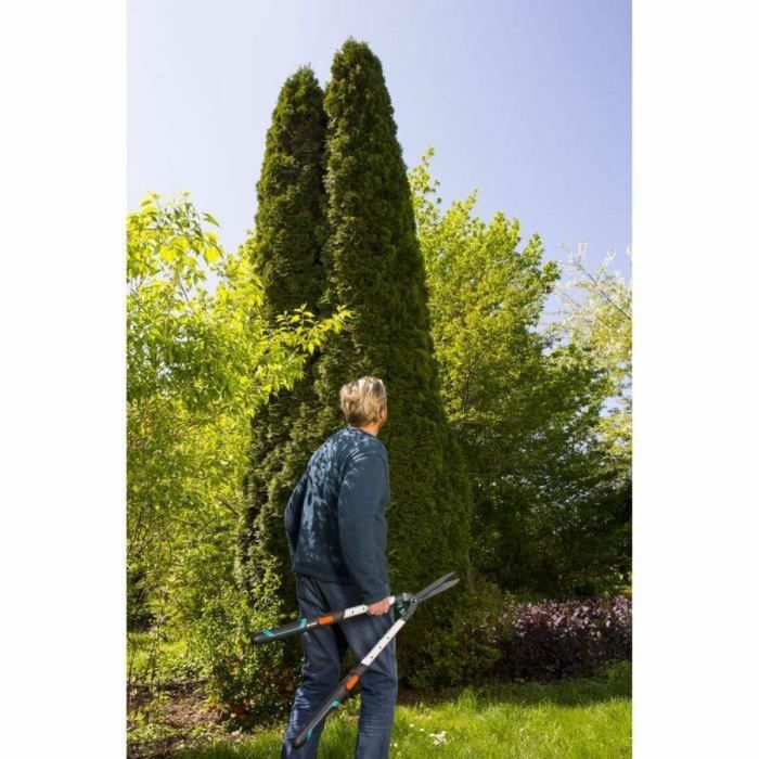 Gardena TeleCut Cortasetos Telescópico con Cuchillas Onduladas Antiadherentes, Brazos Extensibles de Aluminio +20cm, Longitud de Corte 25cm 2 Gardena TeleCut Cortasetos Telescópico con Cuchillas Onduladas Antiadherentes, Brazos Extensibles de Aluminio +20cm, Longitud de Corte 25cm 2