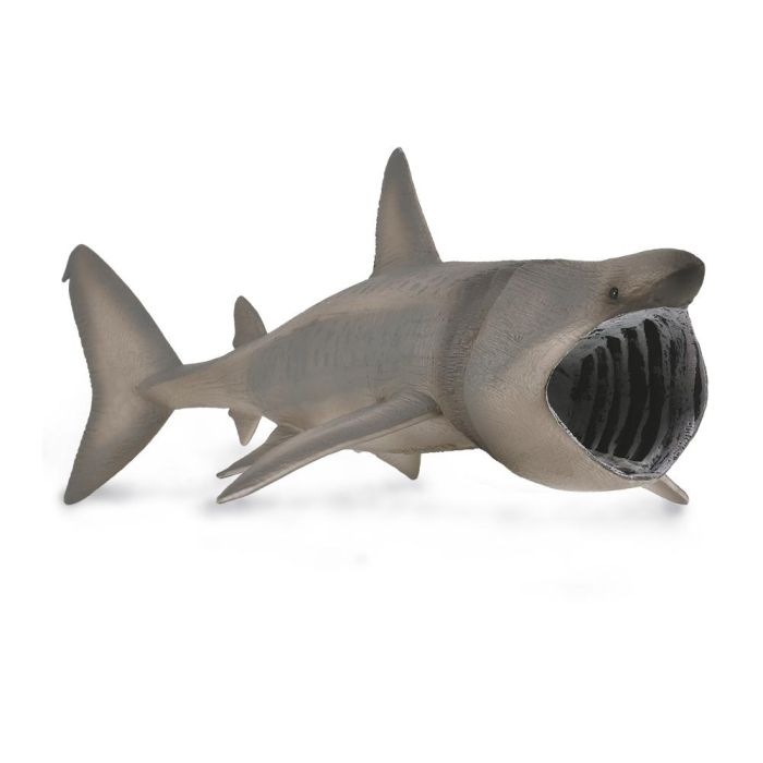 Collecta 88914 Figura Tiburón Peregrino XL Réplica Real Pintada a Mano Juguete Educativo Marino +3 años Collecta 88914 Figura Tiburón Peregrino XL Réplica Real Pintada a Mano Juguete Educativo Marino +3 años