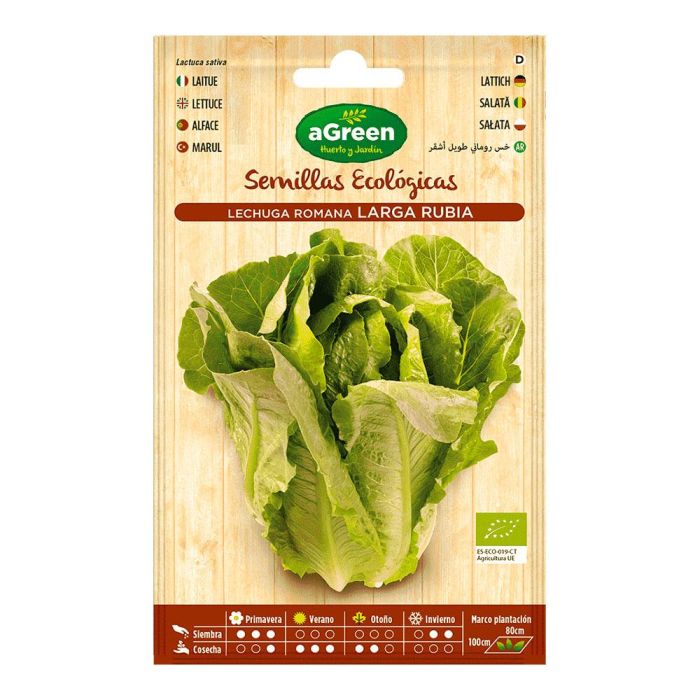 Agreen Sobre con semillas eco de lechuga romana larga - Porte erguido, rápida vegetación, cogollo grande