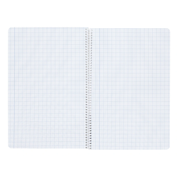Liderpapel Cuaderno Espiral A4 Wonder Tapa Plástico 80 Hojas 90gr Milimetrado 2mm con Margen Colores Surtidos 1