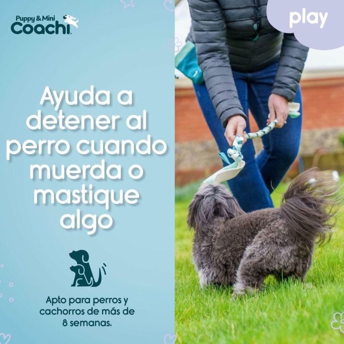 Arnés para Perro Coachi 0 Arnés para Perro Coachi 0