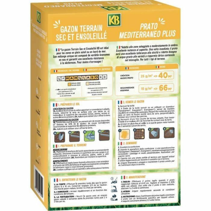 KB Semillas de Césped para Terreno Seco y Soleado 40m² - Bajo Riego, Resistente a la Sequía con Tall Fescue y Sembrador Integrado 1 KB Semillas de Césped para Terreno Seco y Soleado 40m² - Bajo Riego, Resistente a la Sequía con Tall Fescue y Sembrador Integrado 1