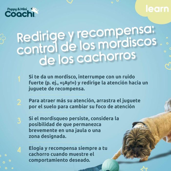 Arnés para Perro Coachi 2 Arnés para Perro Coachi 2
