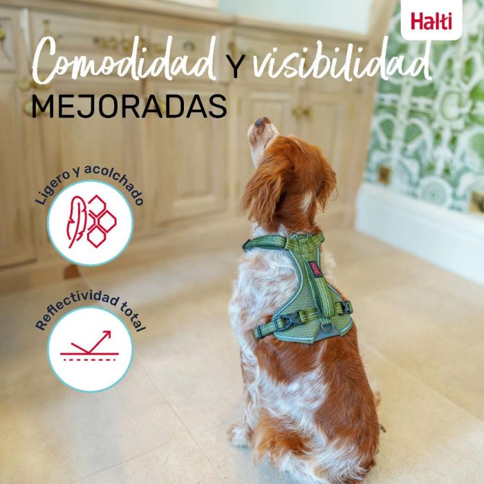 Arnés para Perro Company of Animals Verde M 35-55 cm 2