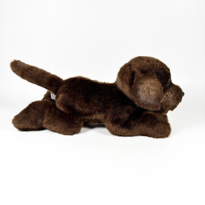 Peluche Labrador Chocolate Tumbado 25Cm 939D00284 Bocalan 3 Peluche Labrador Chocolate Tumbado 25Cm 939D00284 Bocalan 3