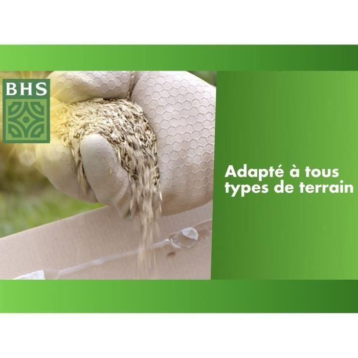 Césped - BHS - Regenerador de césped 5 kg 3 Césped - BHS - Regenerador de césped 5 kg 3