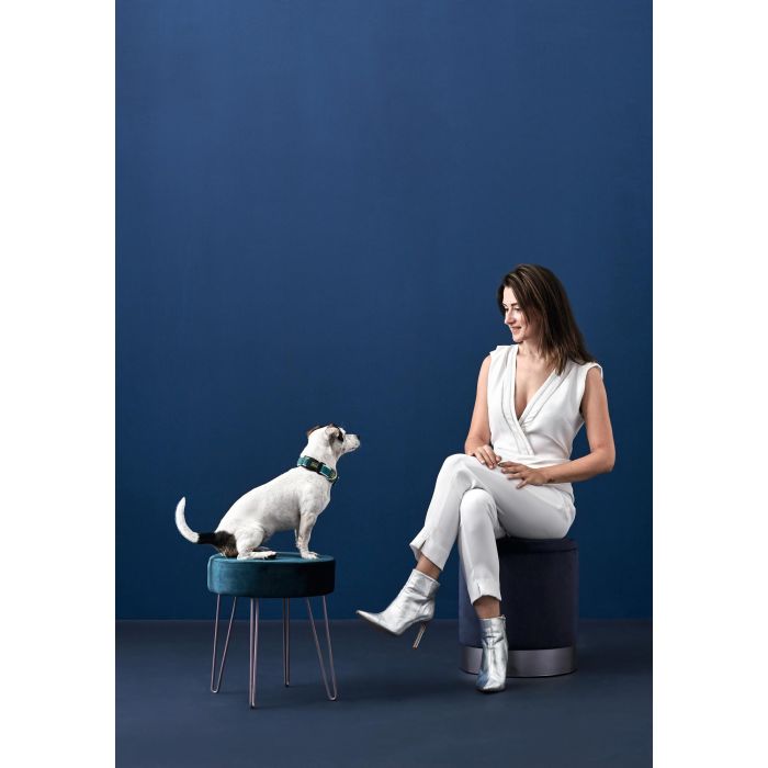 Hunter Collar Hilo Vario Basic S Turquesa para Perro, Ajustable 30-43 cm, Transpirable y Ligero con Efecto Refrescante 1