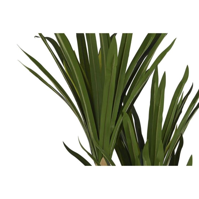 Planta Decorativa DKD Home Decor (80 x 80 x 180 cm) 2 Planta Decorativa DKD Home Decor (80 x 80 x 180 cm) 2