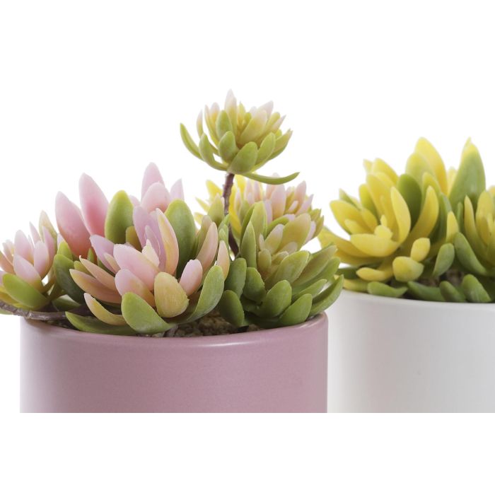 DKD Home Decor Planta Artificial con Maceta de Gres, Colores Surtidos (Rosa Palo, Amarillo), 13 cm Alto x 15 cm Ancho (Pack 4 Unidades) 1 DKD Home Decor Planta Artificial con Maceta de Gres, Colores Surtidos (Rosa Palo, Amarillo), 13 cm Alto x 15 cm Ancho (Pack 4 Unidades) 1