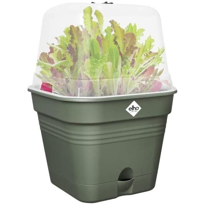 Pot de flores cuadradas básicas verdes - plástico - tanque - Ø20 - verde hoja 2 Pot de flores cuadradas básicas verdes - plástico - tanque - Ø20 - verde hoja 2