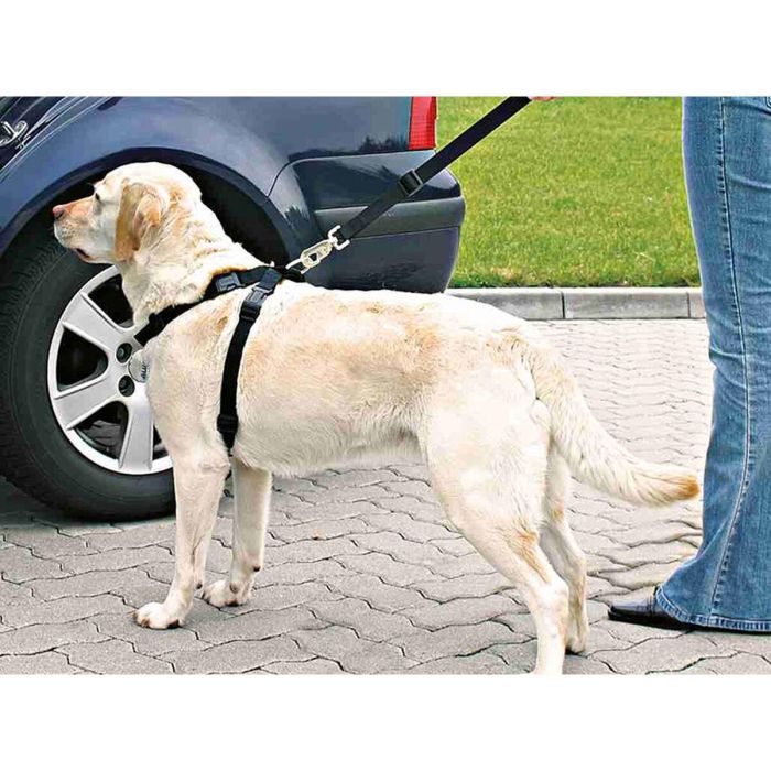 Arnés para Perro Trixie Negro M 2 Arnés para Perro Trixie Negro M 2