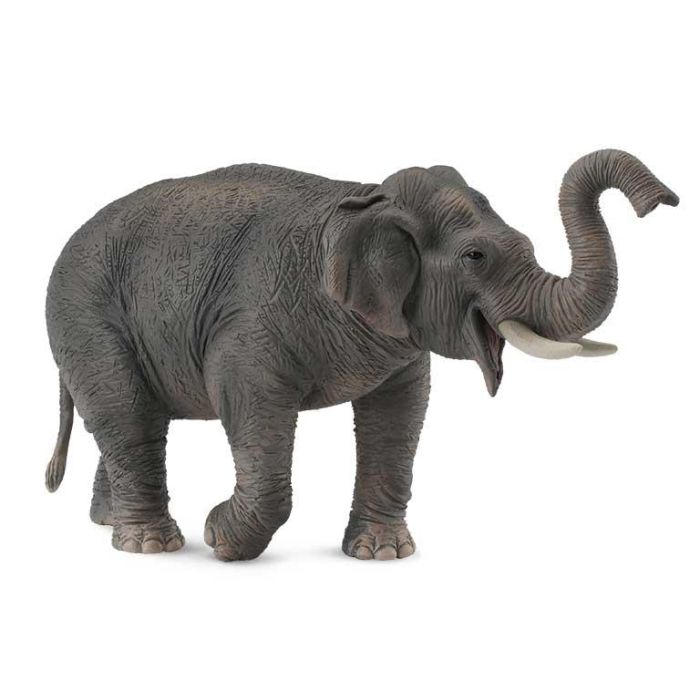 Elefante Asiatico -Xl- 88486 Collecta Elefante Asiatico -Xl- 88486 Collecta