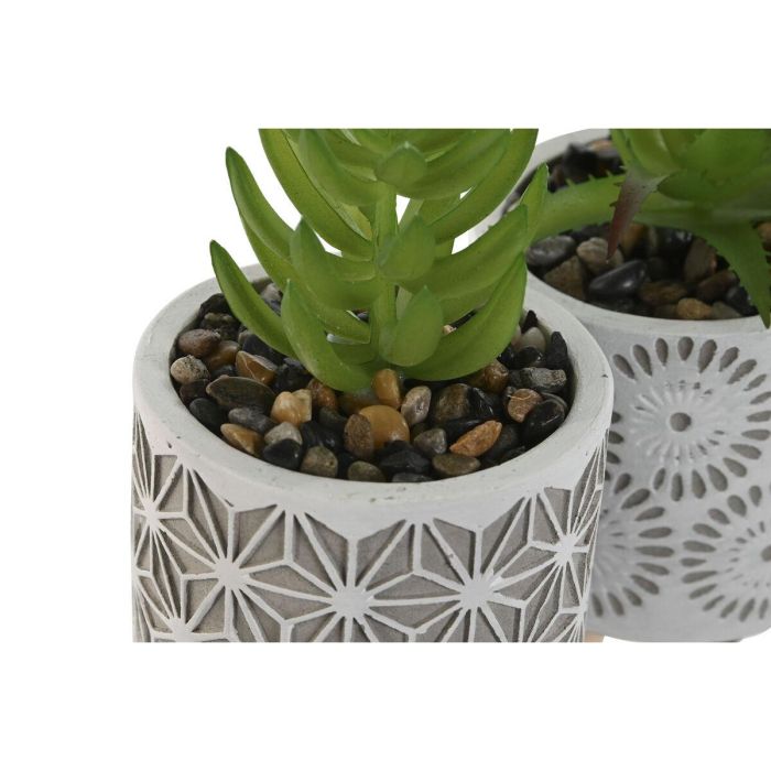 Planta DKD Home Decor Gris Verde 6.5 x 11 x 6.5 cm (3 Unidades) 1