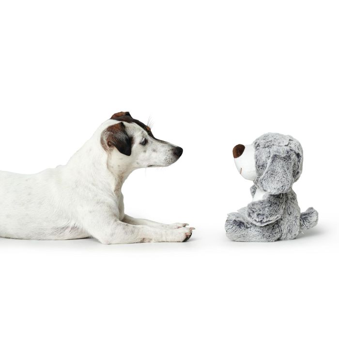 Juguete Para Perro Faro Perro 2 Juguete Para Perro Faro Perro 2