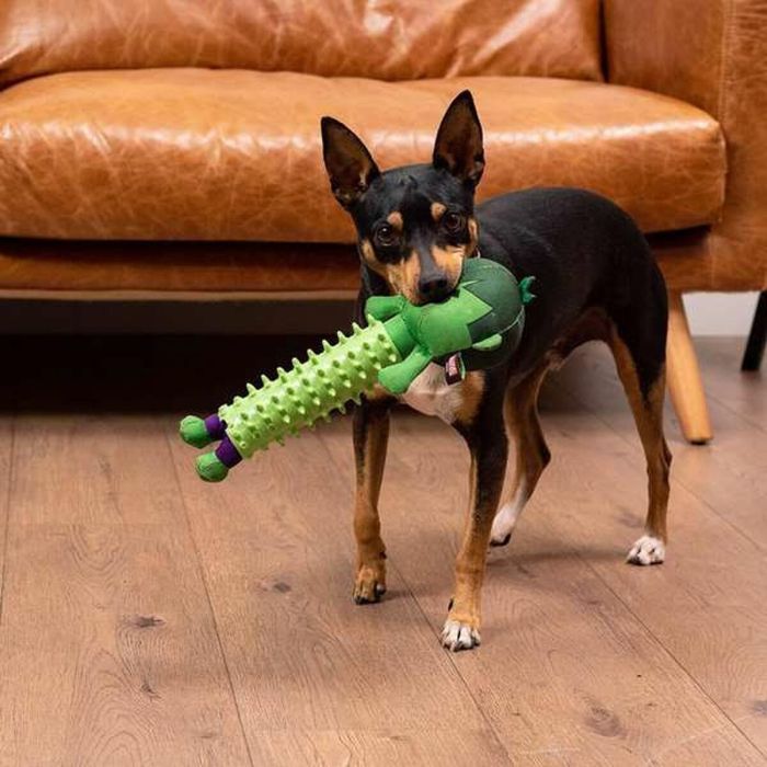 Mordedor para perro avengers hulk 9.0 x 11.0 x 30.0 cm 9 Mordedor para perro avengers hulk 9.0 x 11.0 x 30.0 cm 9