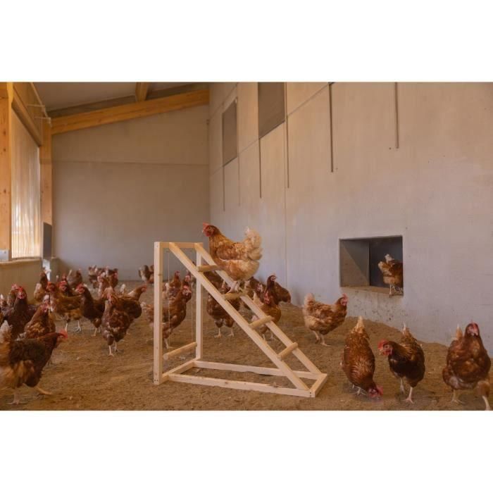 Torre trepadora para gallinas - KERBL - 85 x 55 x 76 cm - Con columpio - Escalera robusta 3 Torre trepadora para gallinas - KERBL - 85 x 55 x 76 cm - Con columpio - Escalera robusta 3