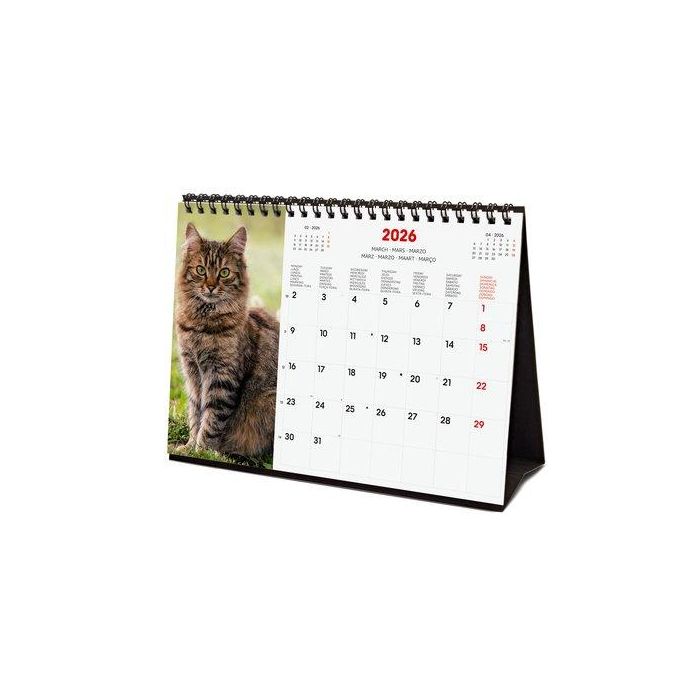 Calendario (2026) Finocam Internacional Sobremesa Imagenes Mensual Para Escribir S 210X150 Cats