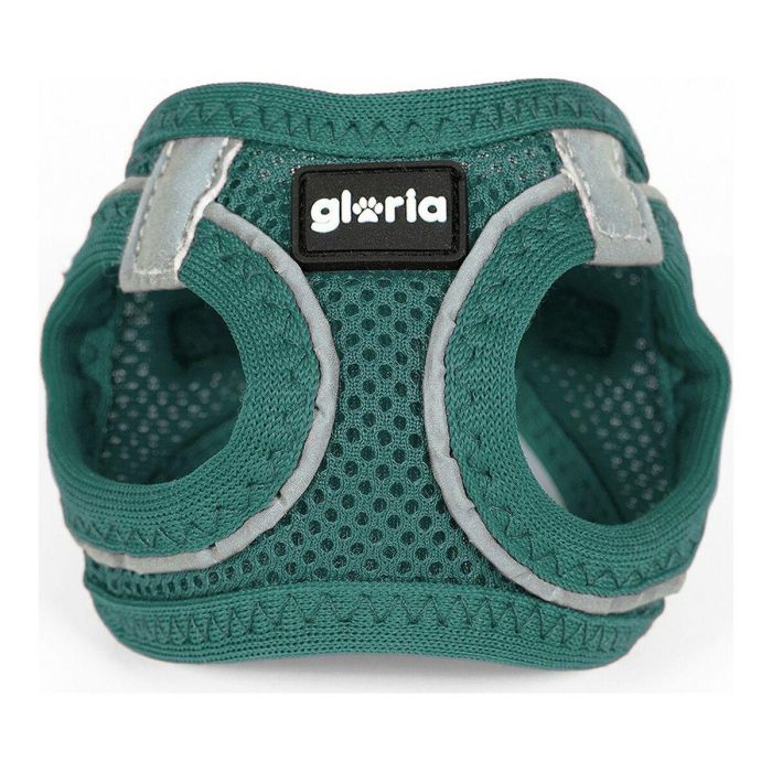 Arnés-Vestido Air Mesh Trek Star Turquesa XXXS 18-20 cm 1 Arnés-Vestido Air Mesh Trek Star Turquesa XXXS 18-20 cm 1