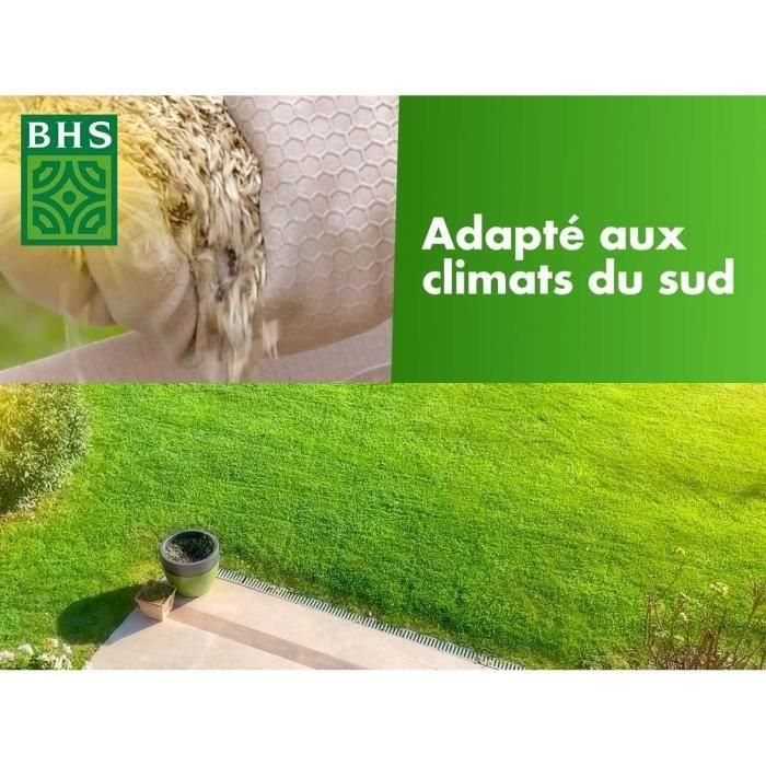 BHS BHS3366671100515 Césped Rústico Sur 10 kg Resistente a condiciones secas con festuca alta, rápido y consistente 2 BHS BHS3366671100515 Césped Rústico Sur 10 kg Resistente a condiciones secas con festuca alta, rápido y consistente 2