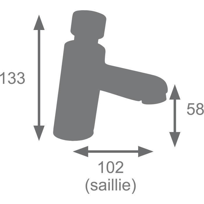 Edouard Rousseau EDO3047404061098 Mezclador de Lavabo Temporizado Cromo 2
