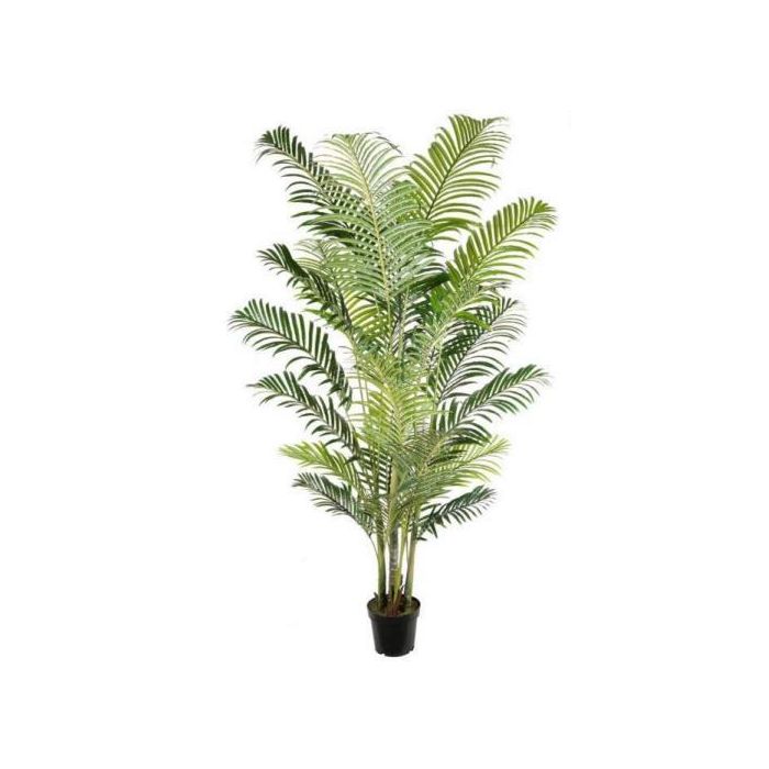 Planta Tropical DKD Home Decor Verde 100 x 220 x 100 cm (2 Unidades) Planta Tropical DKD Home Decor Verde 100 x 220 x 100 cm (2 Unidades)