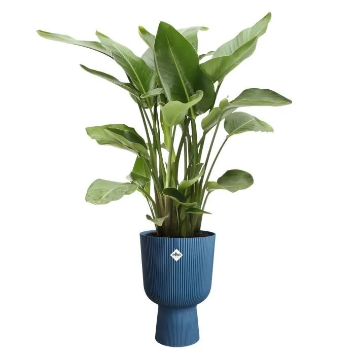 Elho ELH2904503029400 Maceta Vibes Fold Coupe Azul L 30 x An 29,5 x Al 45 cm Interior 100% reciclado 4
