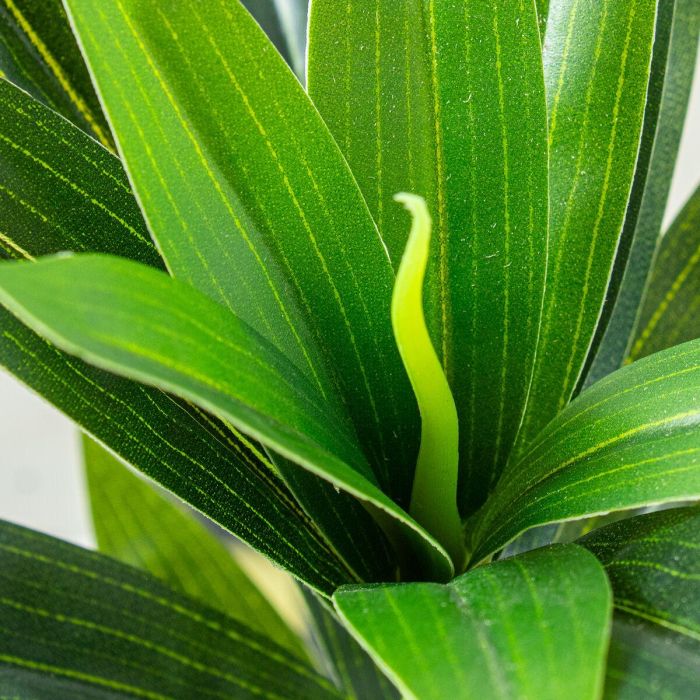 Planta Decorativa Alexandra House Living Lilium Plástico 35 cm 2