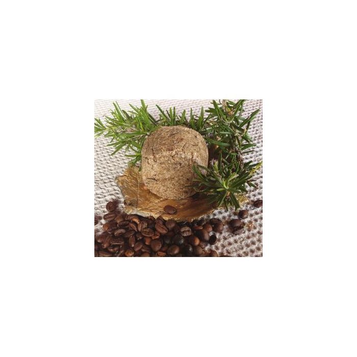 Champu Solido Estimulante Anticaida 85Gr.