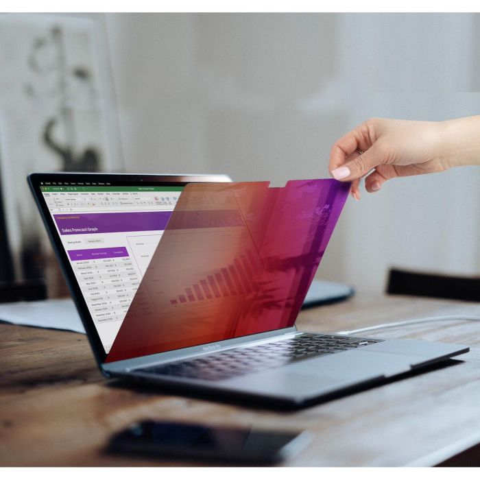 Armario Rack Mural Startech 162MG-PRIVACY-SCREEN 2