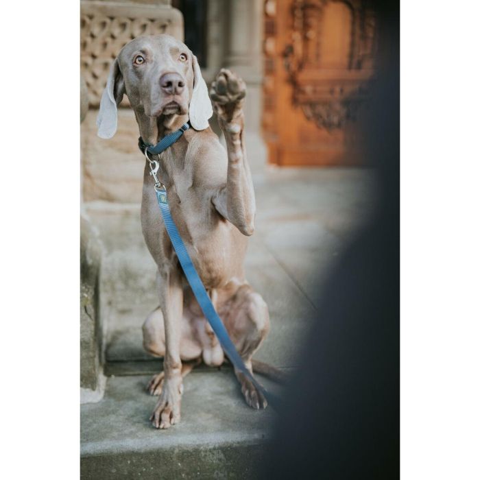 Correa para Perro Hunter Azul 100 cm 1